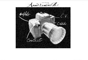Anne Pomminville 2004